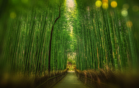 How to Make Your Period Sustainable, Earth Day