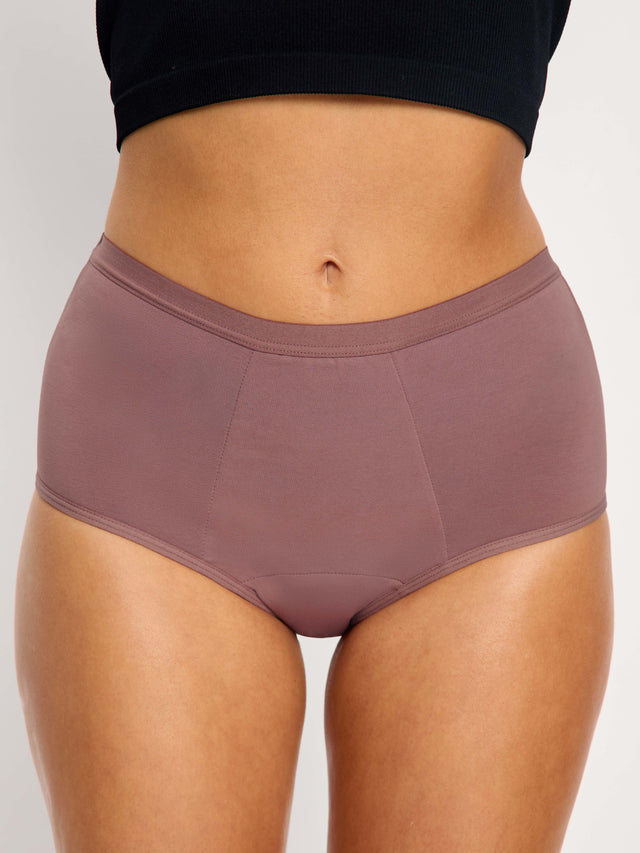 Basic Full Brief 3 Pack Super Subtle Umber/Plain Pink/Composure Blue