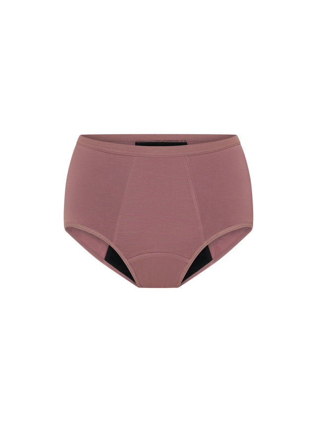 Basic Full Brief 3 Pack Super Subtle Umber/Plain Pink/Composure Blue