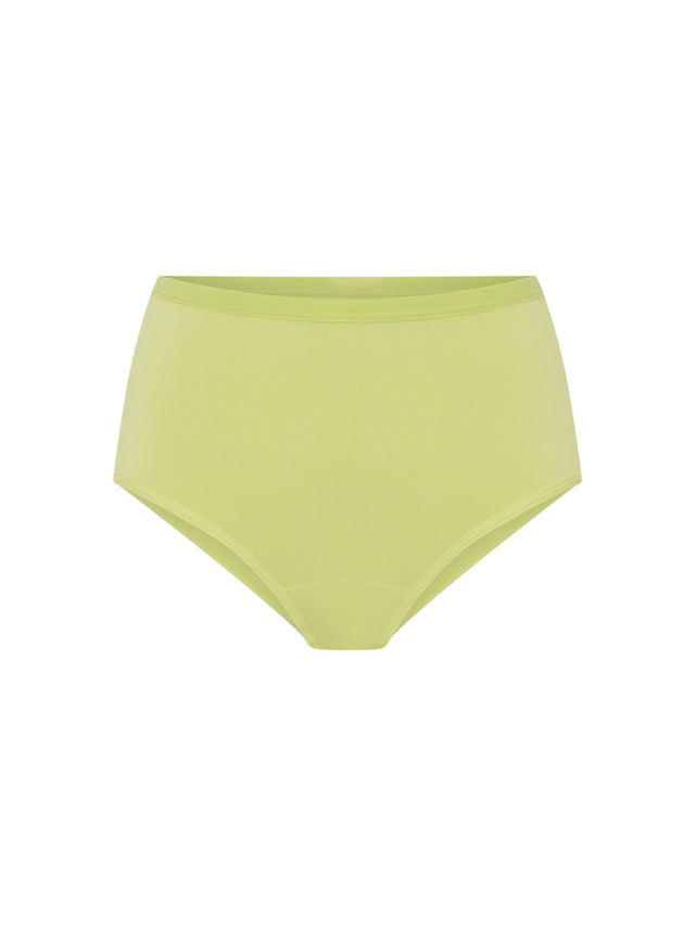 Classic Full Brief Everyday Pack Windsong Multi