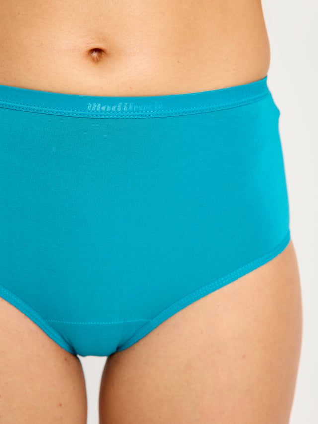 Classic Full Brief Everyday Pack Windsong Multi