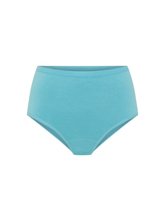 Classic Full Brief Everyday Pack Windsong Multi