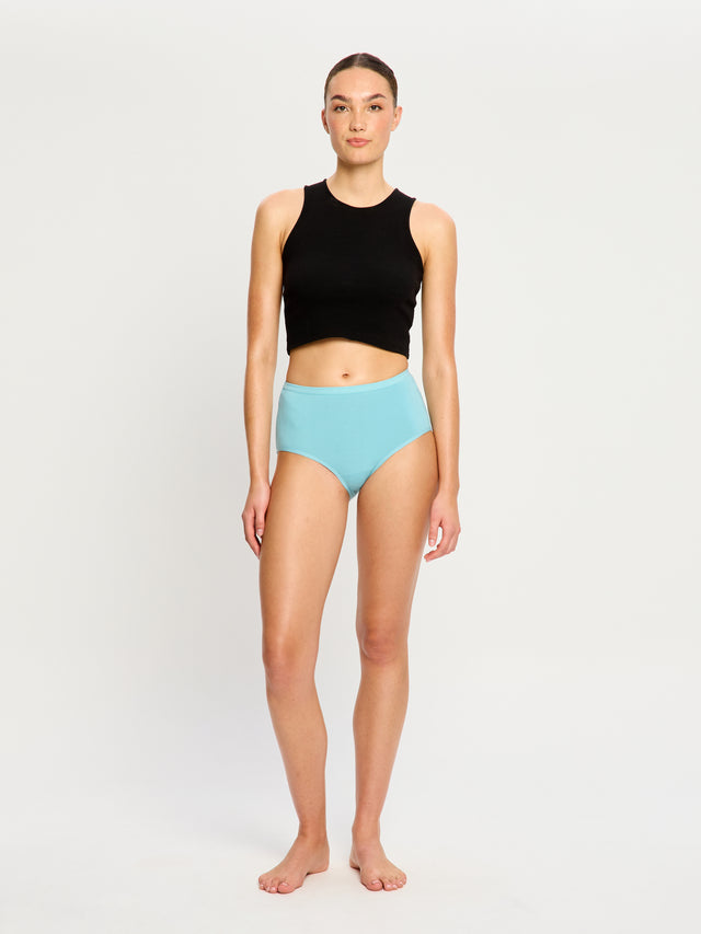 Classic Full Brief Everyday Pack Windsong Multi
