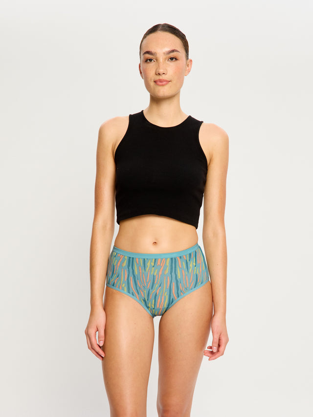 Classic Full Brief Everyday Pack Windsong Multi