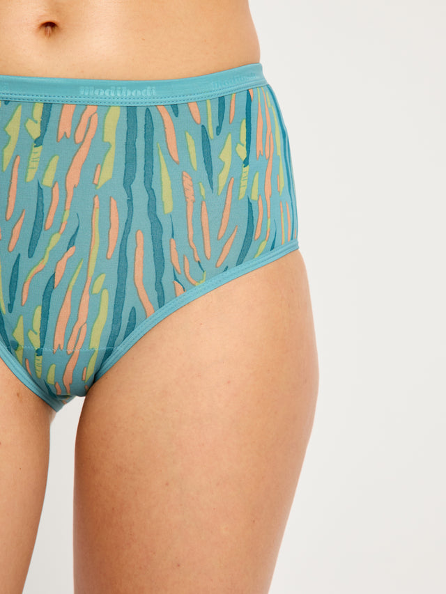 Classic Full Brief Everyday Pack Windsong Multi