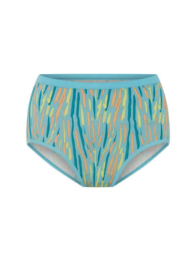 Classic Full Brief Everyday Pack Windsong Multi